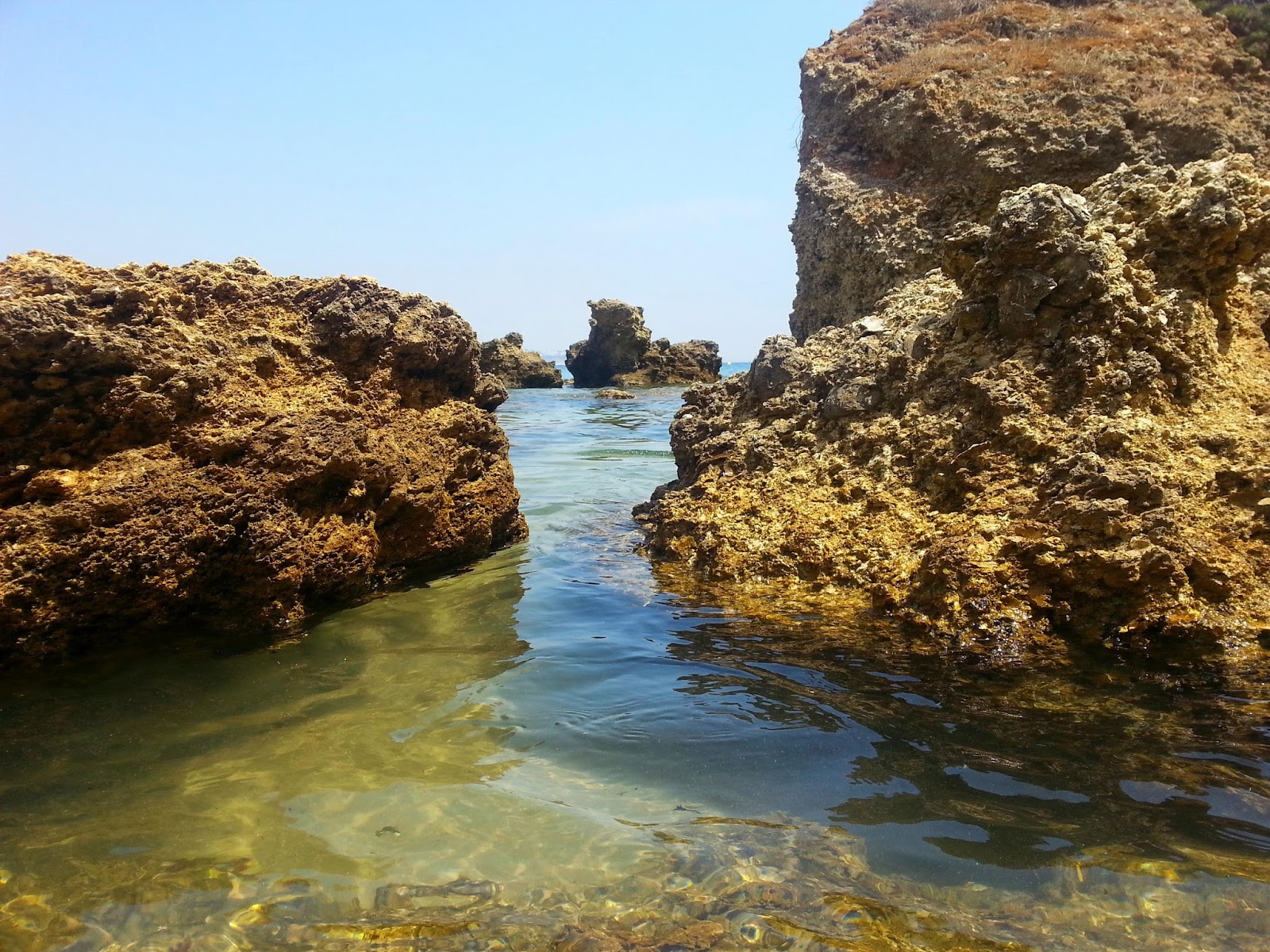 Three women talking and laughing